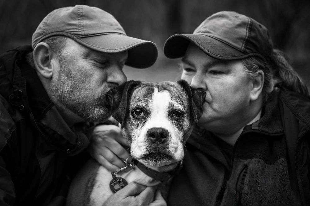 Old Boxer with her parents in Hampshire