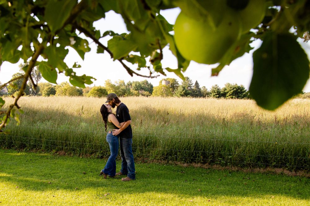 Apple orchard engagement photo, Rachel Moreau Photography.