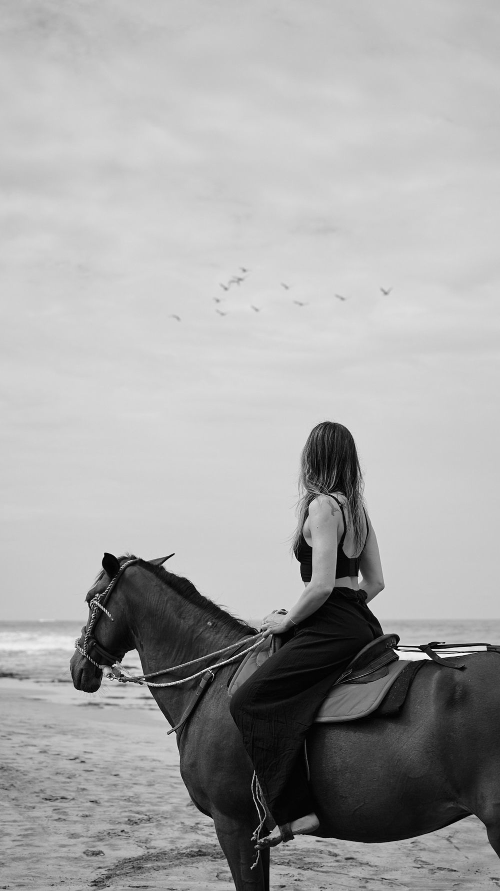 A black and white photo captures a peaceful horseback ride along a misty ocean shoreline.