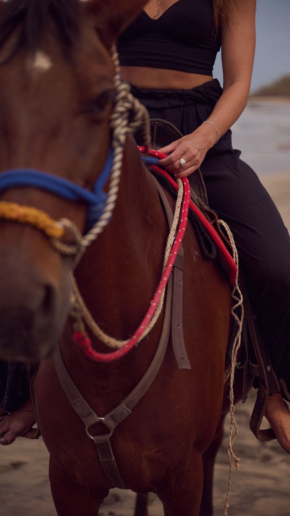 A close-up view shows a person riding a dark brown horse with a red halter and rope details.