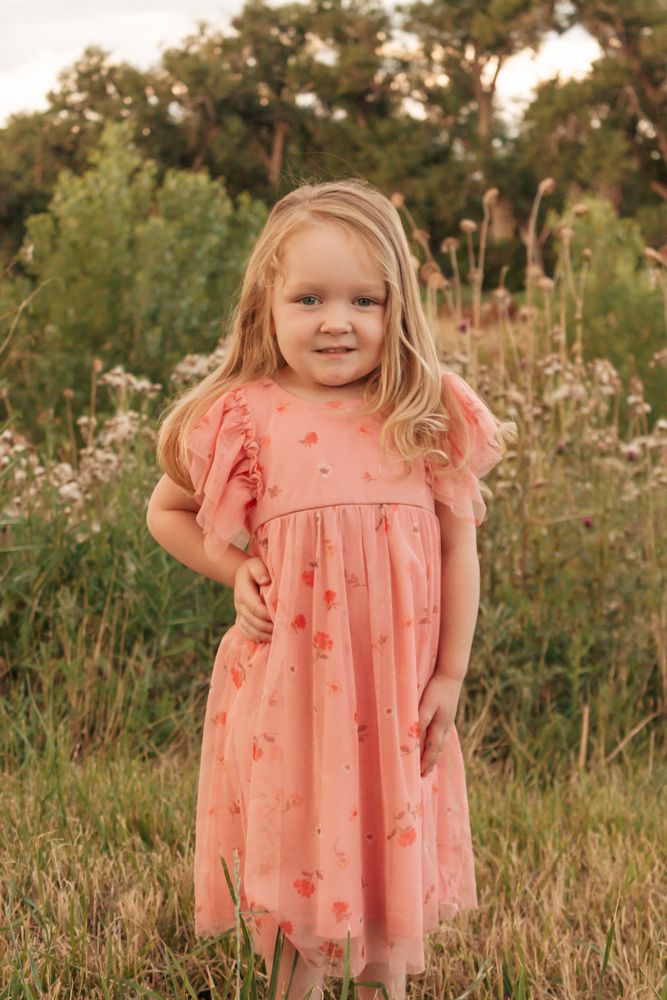 Little girl with gentle smile wearing ruffled dress in golden meadow, Westminster family portrait session