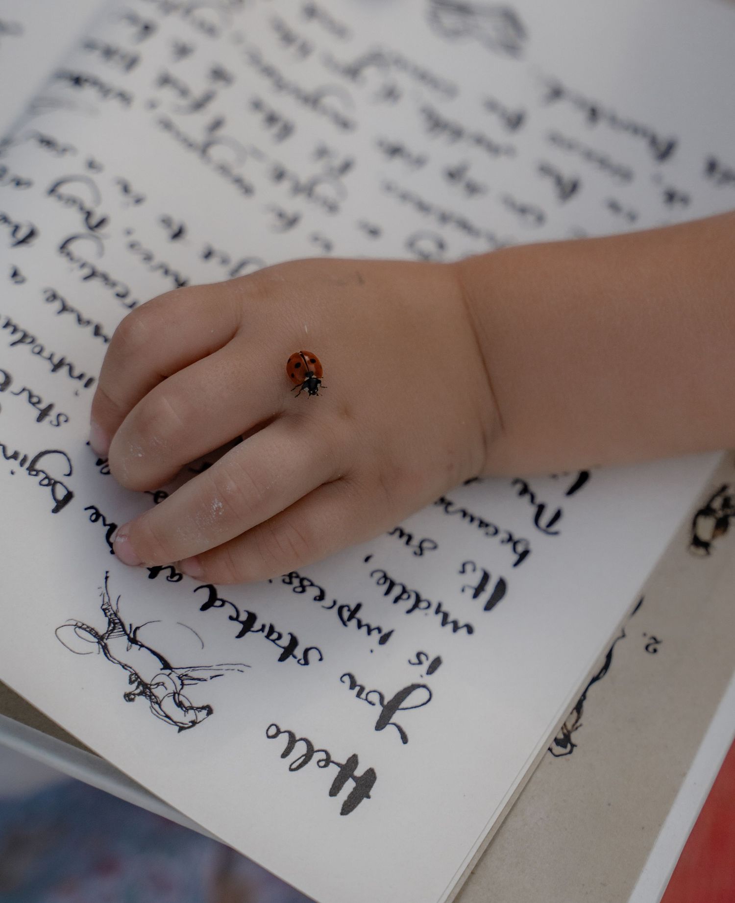 Close-up of a child’s hand with a ladybird crawling on it, captured during a lifestyle family session focused on slow moments and detail.