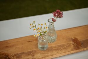 Small colorful flowers in clear glass vases line up along a rustic wooden shelf against a white wall.