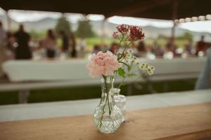 Pink roses and baby's breath flowers arranged in small glass vases for table centerpieces at an outdoor event.