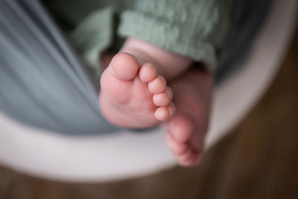 Close-up details of tiny newborn baby feet and hands against a soft gray background.