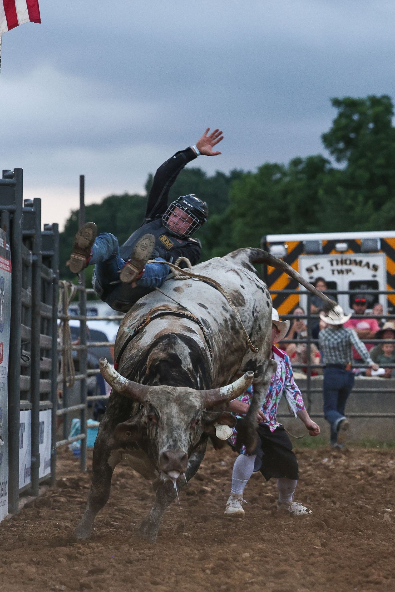 Bull Riding