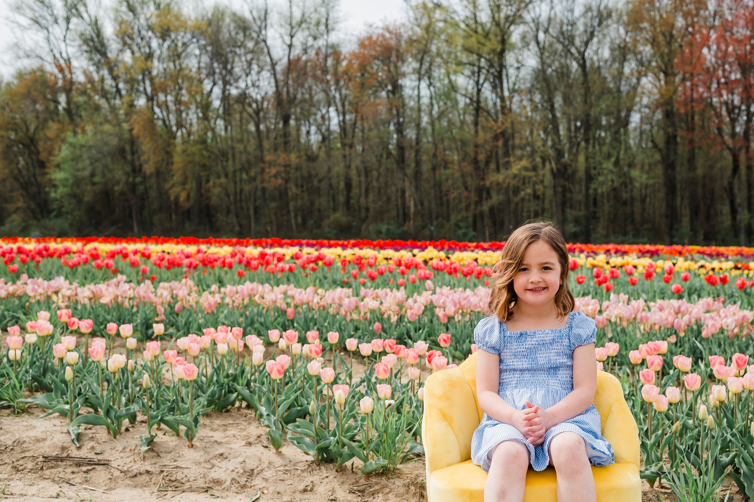 A colorful spring tulip field with vibrant red and peach blooms stretches under a canopy of lush green trees.