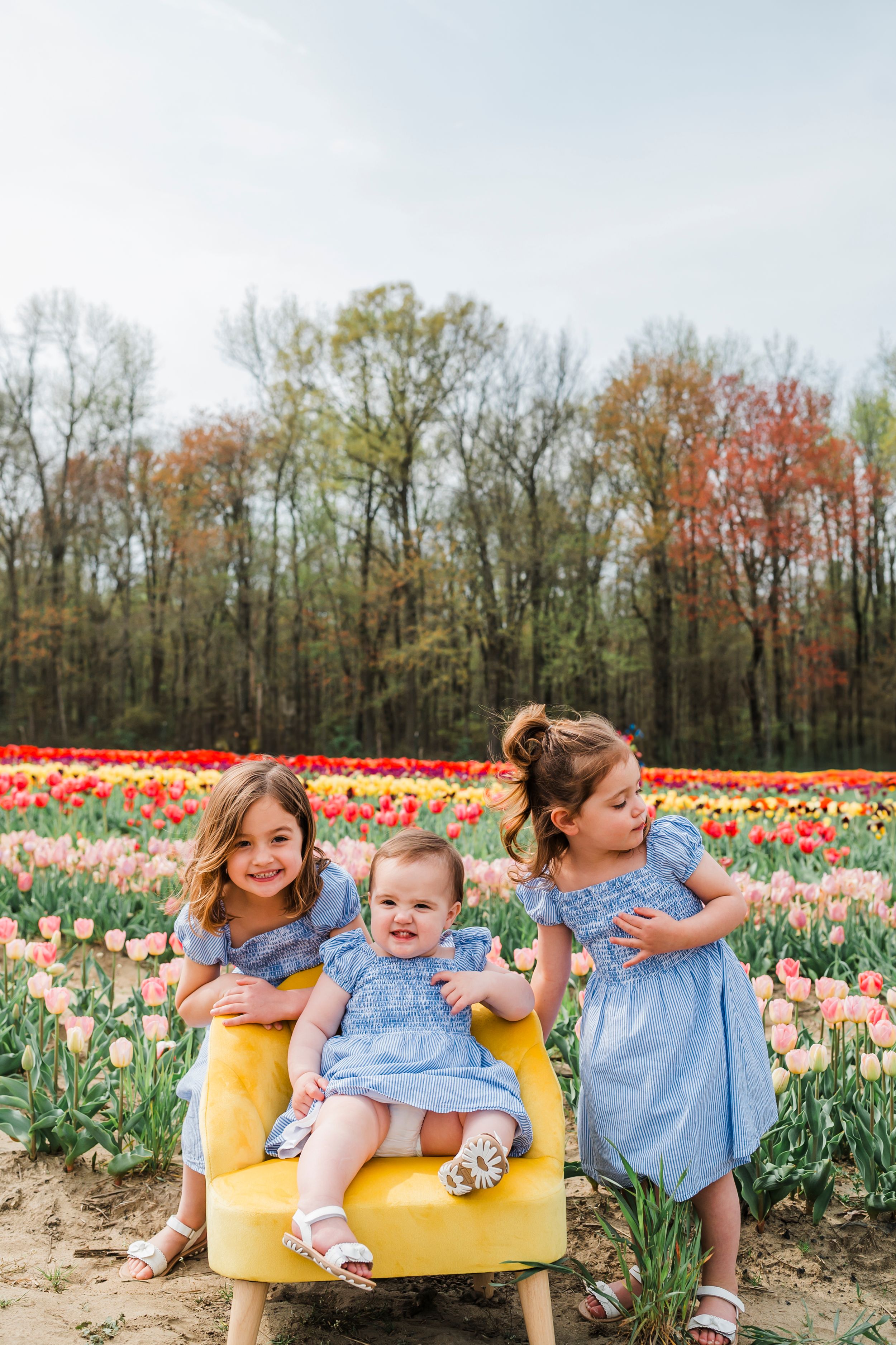 People sharing joyful moments together at a colorful tulip farm field during springtime.