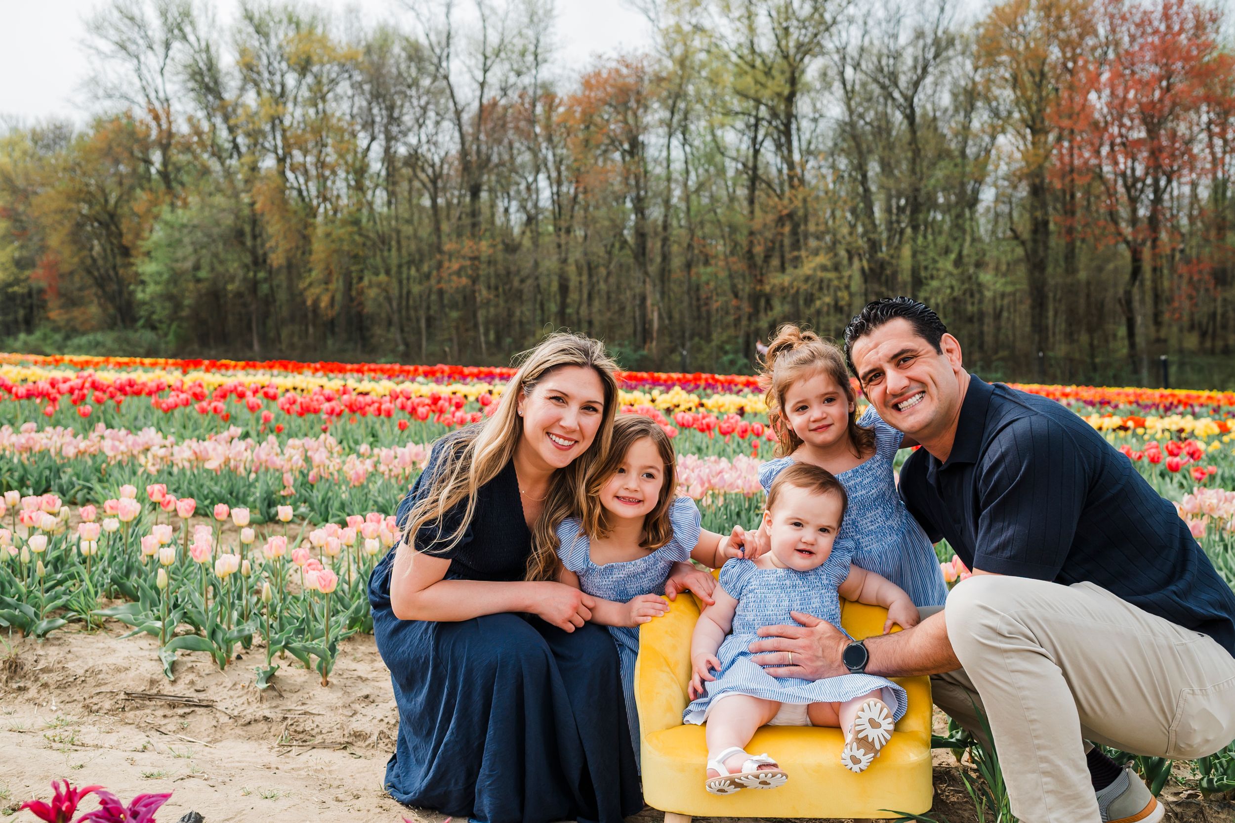 A family sits together surrounded by vibrant tulip fields on a bright spring day.
