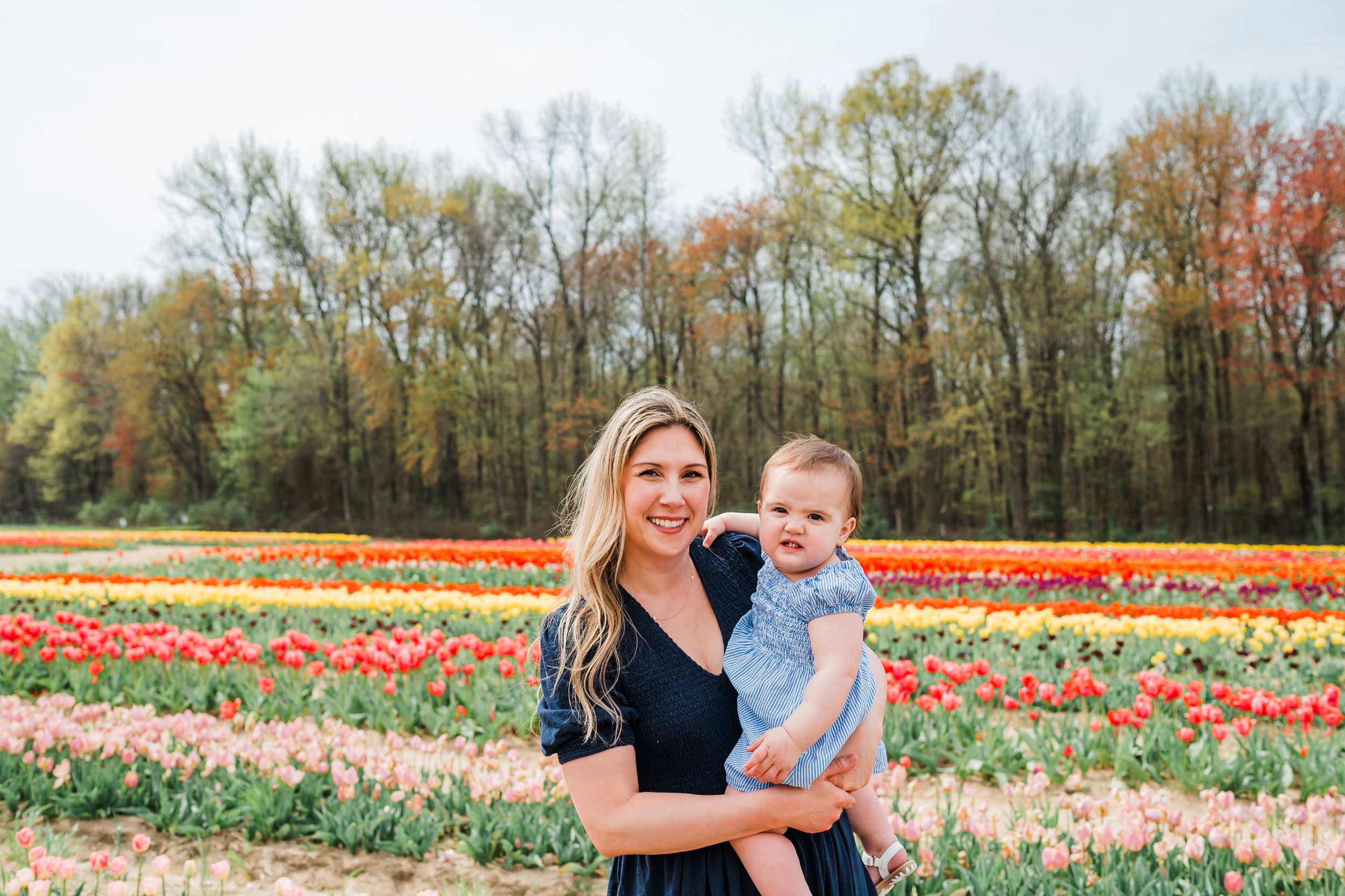 A field of colorful tulips blooms in front of rows of tall trees during springtime.