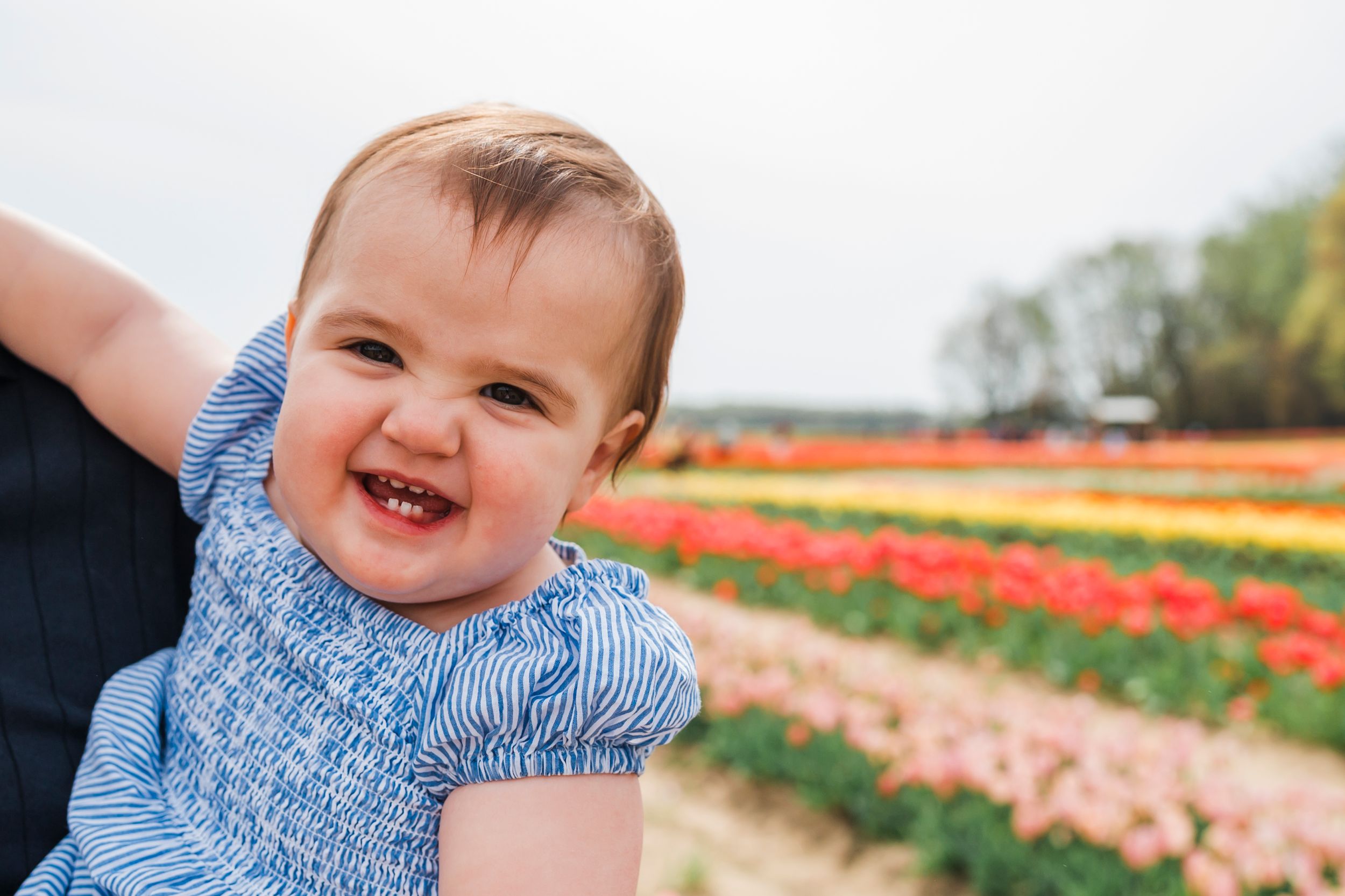 A smiling toddler wearing a blue striped outfit sits in a blooming tulip field.