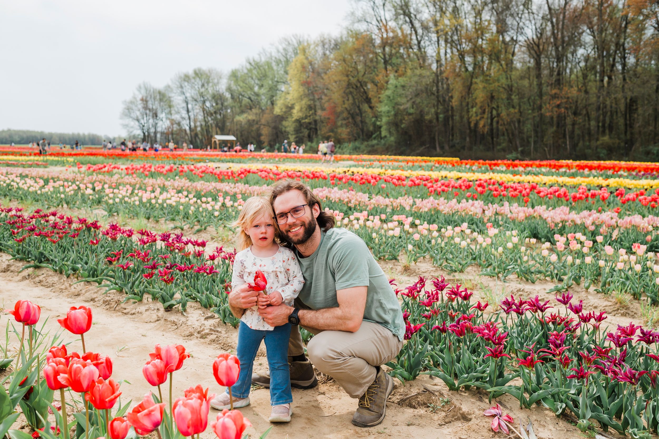 Person enjoying colorful tulip fields in spring with red, pink, and yellow flowers blooming in rows at a flower farm.