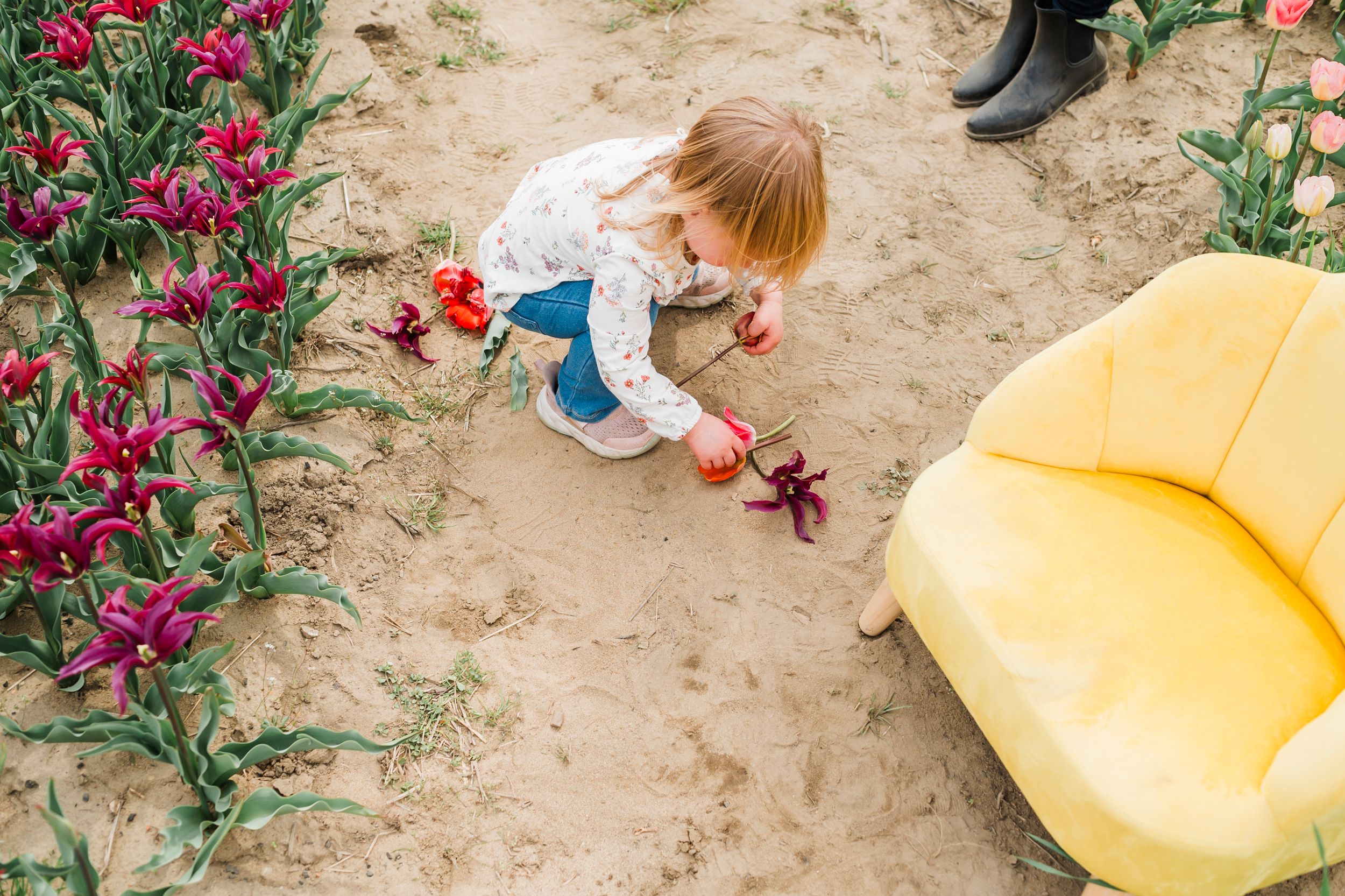 A small child in blue overalls explores near bright magenta flowers beside a yellow inflatable chair in a garden.