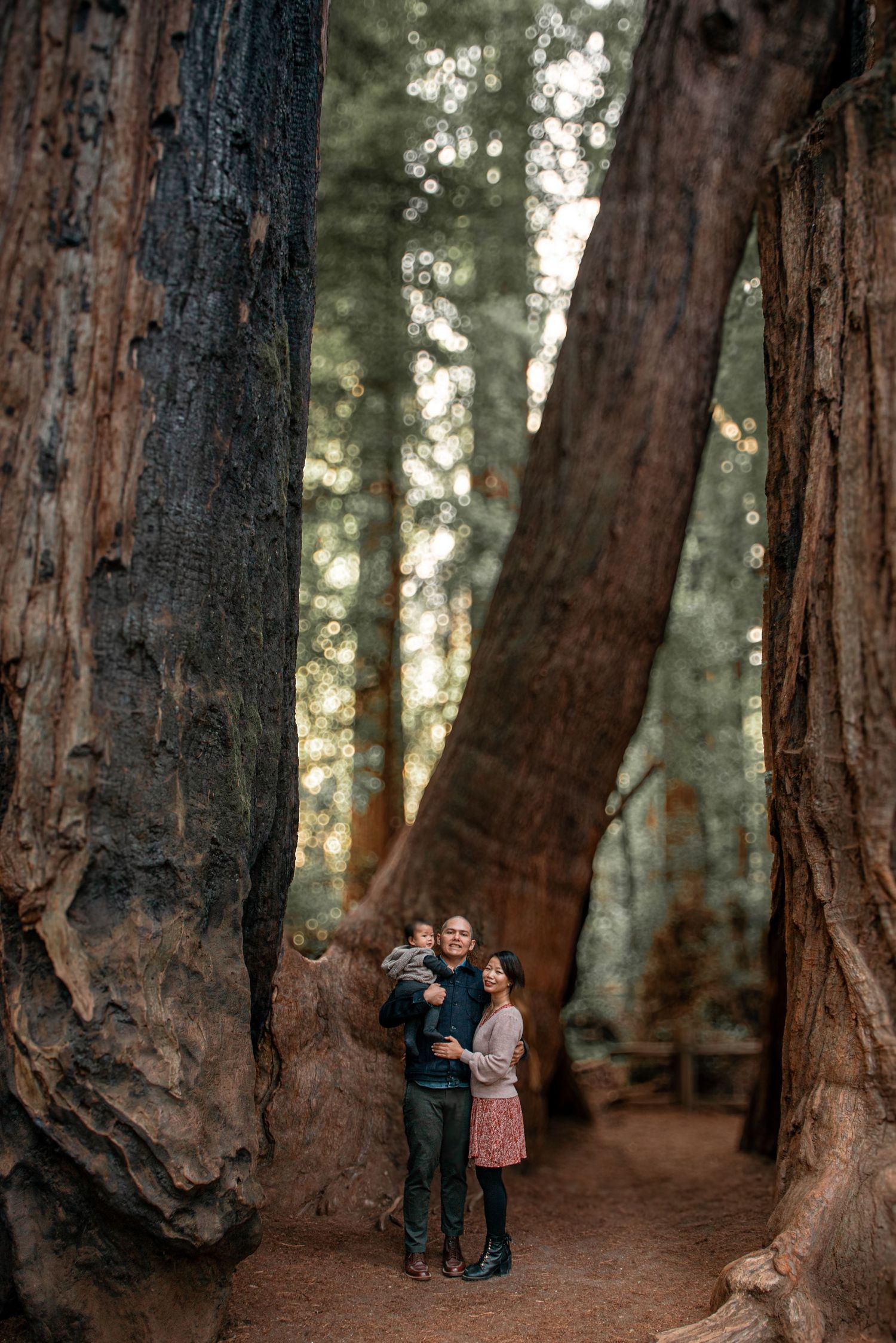 big sur california Family photos
big sur Family photo locations
big sur Family pictures
big sur Family  photography