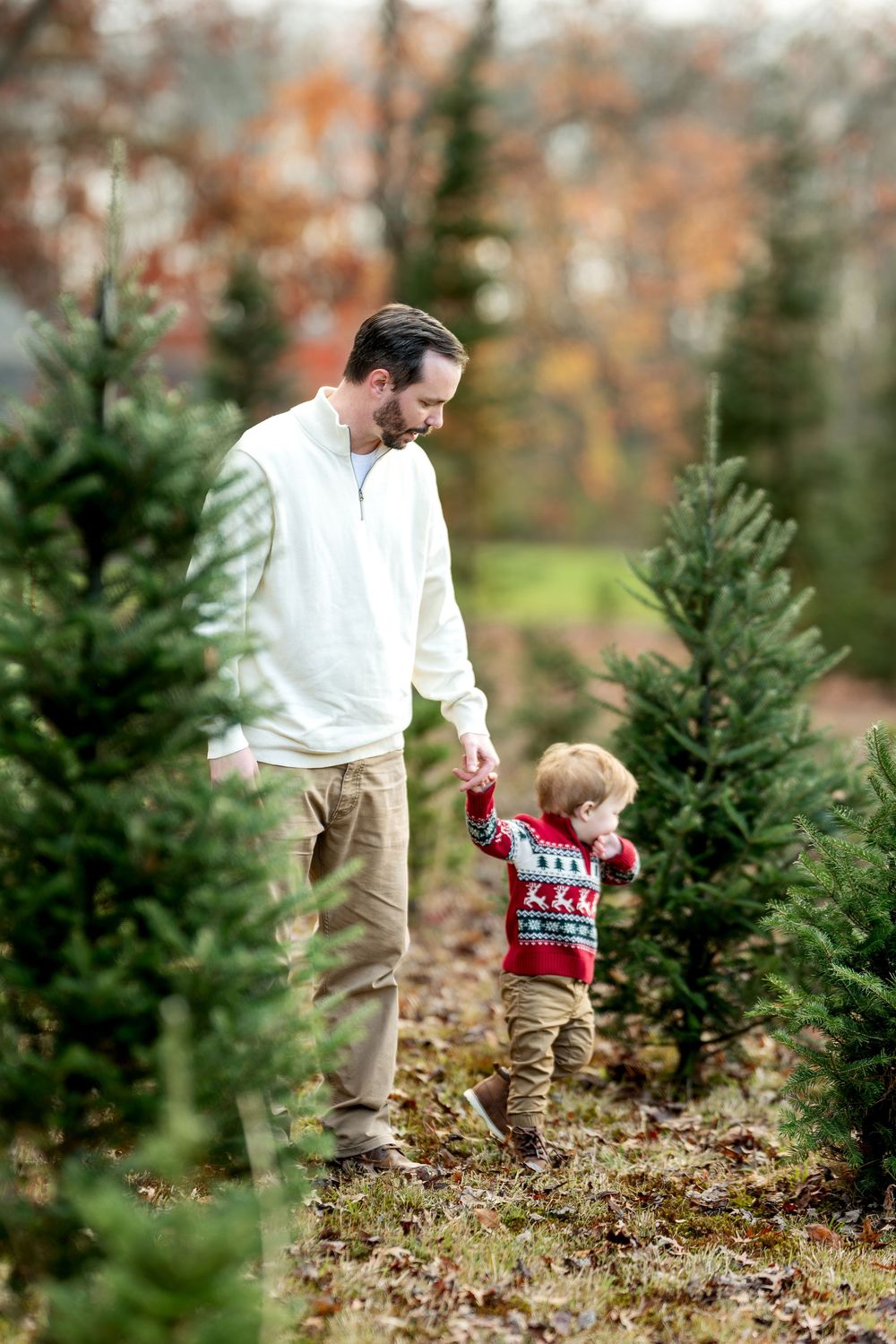 Father and toddler son in Christmas sweater walking among evergreen trees at a holiday tree farm.