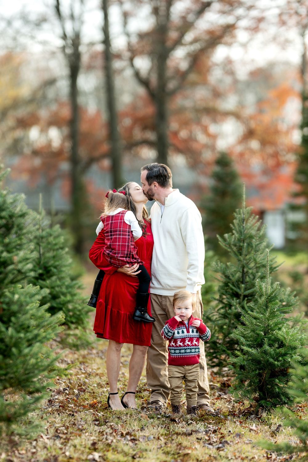Family of four sharing a kiss among Christmas trees at a festive tree farm during autumn.