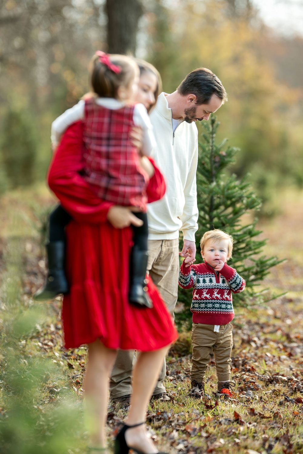 Family with two young children sharing a tender moment among pine trees at a Christmas tree farm.