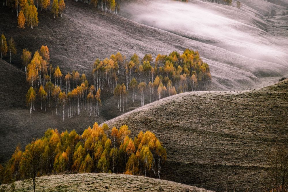 photography Melinda Nagy