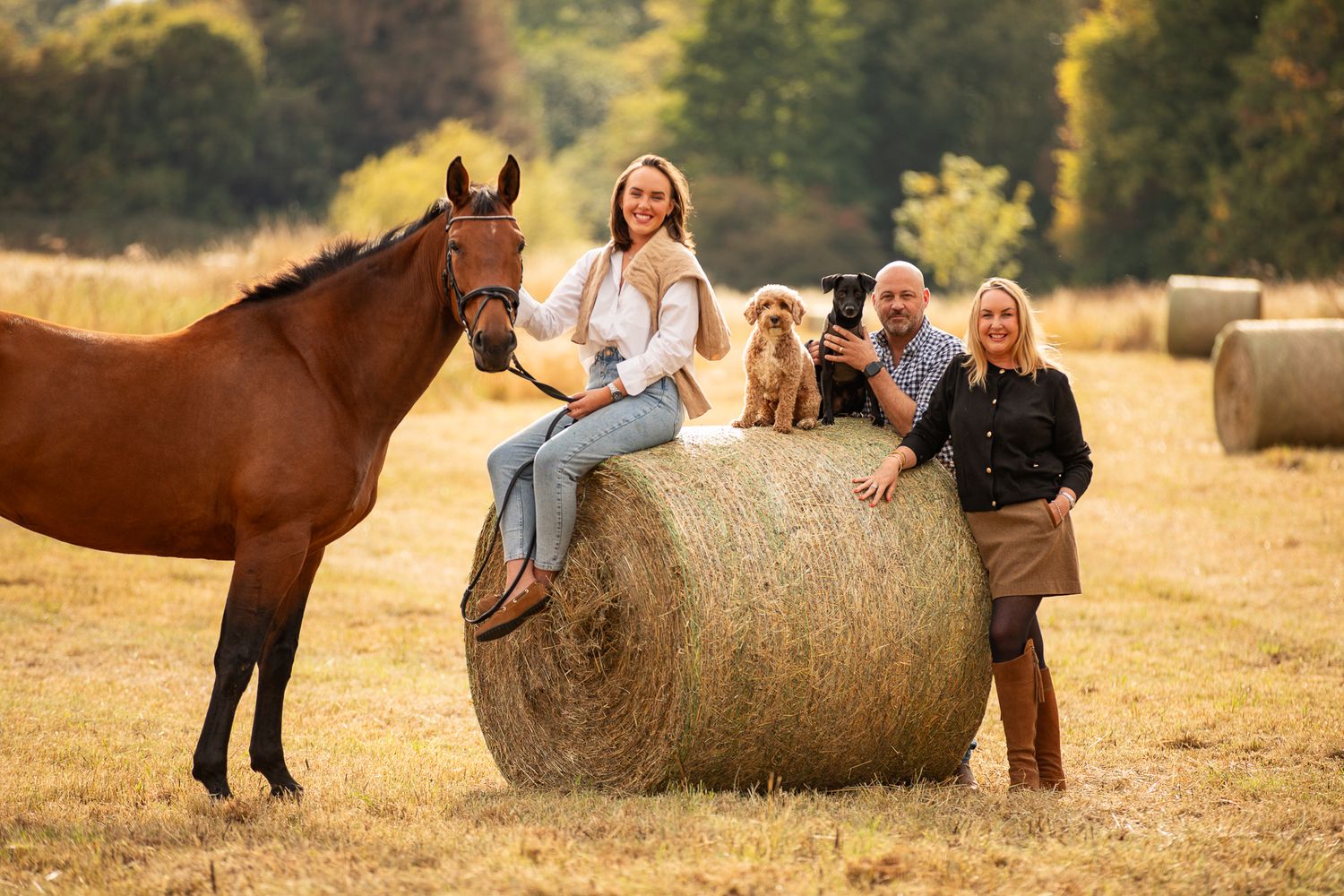 A series of seven photos showing a white horse and rider interacting at a wooden fence in an outdoor setting.