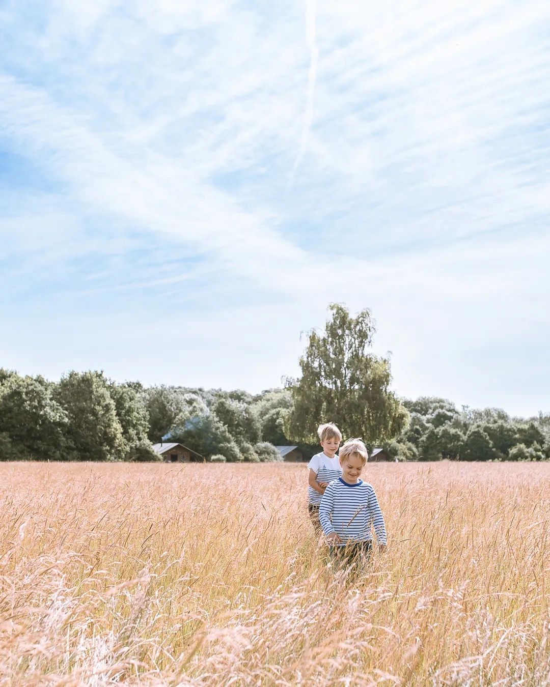 Children standing in tall golden grass under a bright blue sky with soft clouds.