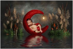 Artistic newborn portrait posed on red crescent moon with fantasy forest backdrop created in Austin studio