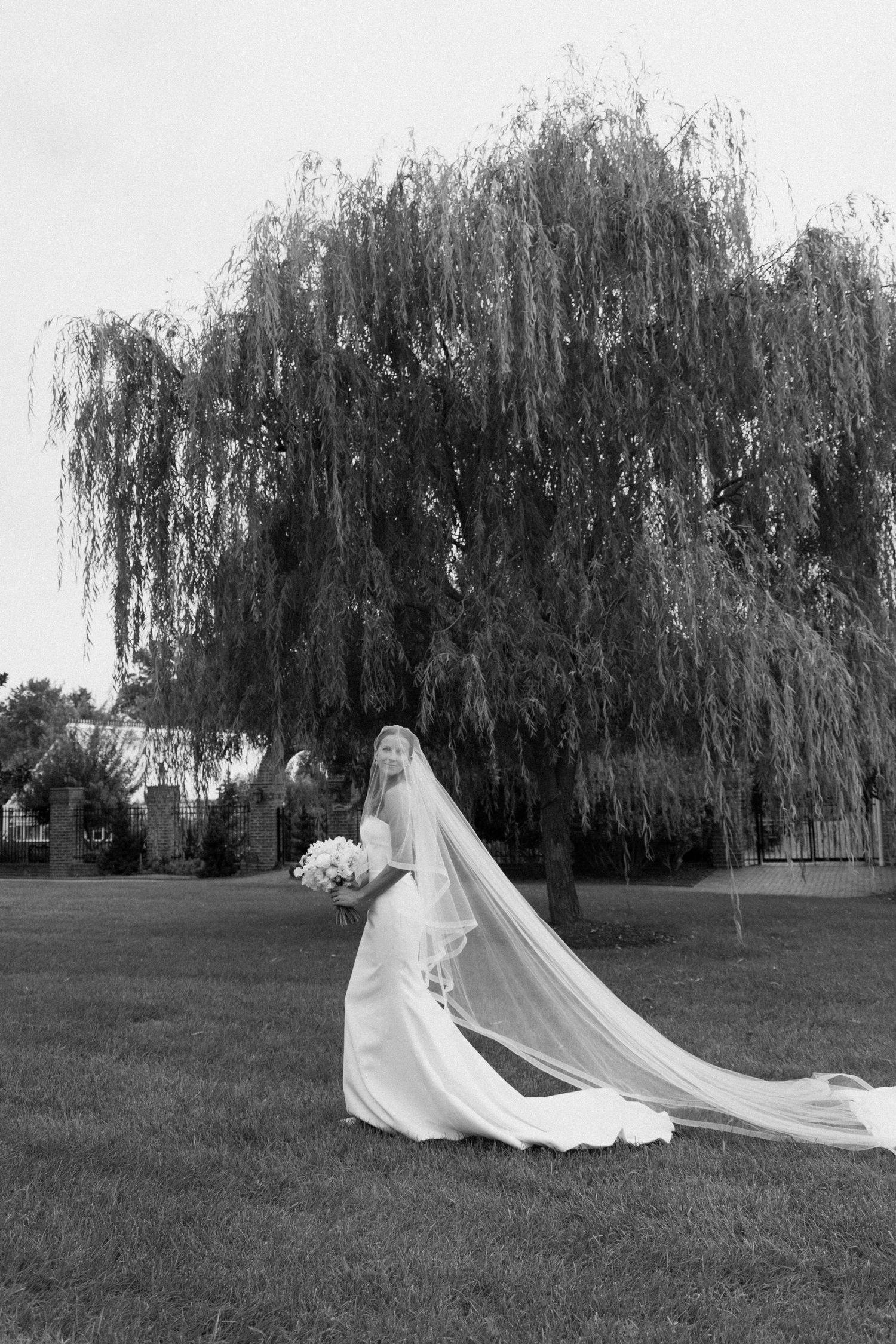 A black and white wedding photo series showing a bride in a flowing gown with long train against weeping willow trees.