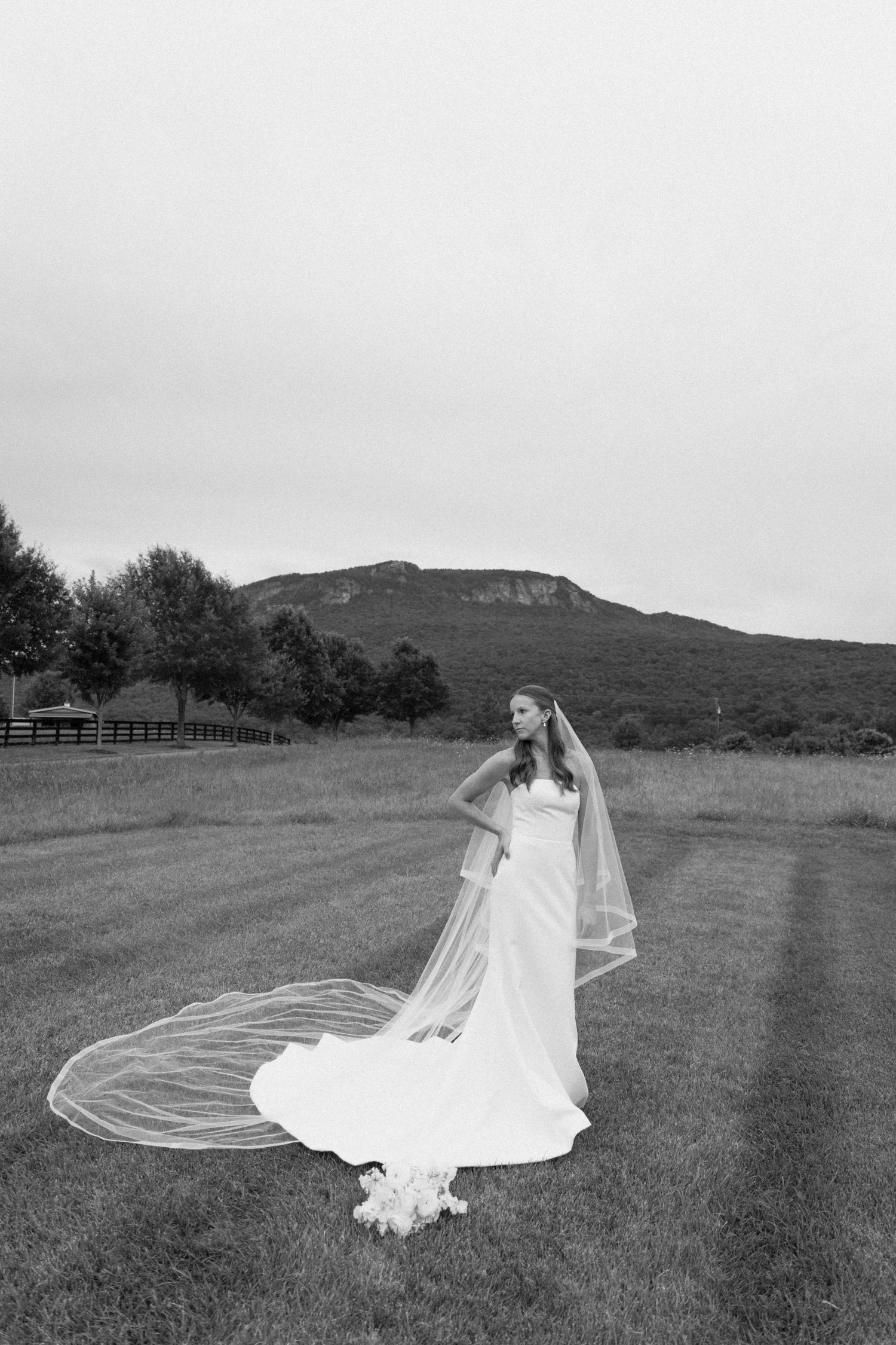 A bride in a flowing white wedding dress and veil twirls gracefully in a scenic mountain meadow.