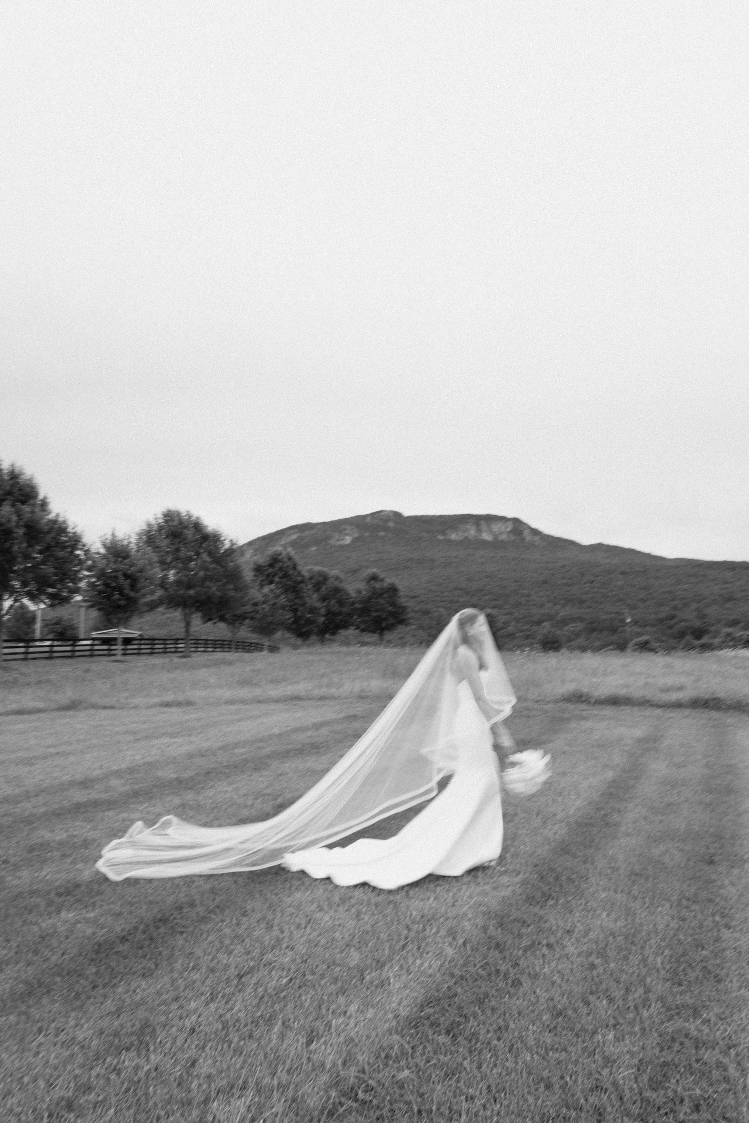 A flowing cathedral-length wedding veil trails dramatically across a grassy field with mountains in the background.
