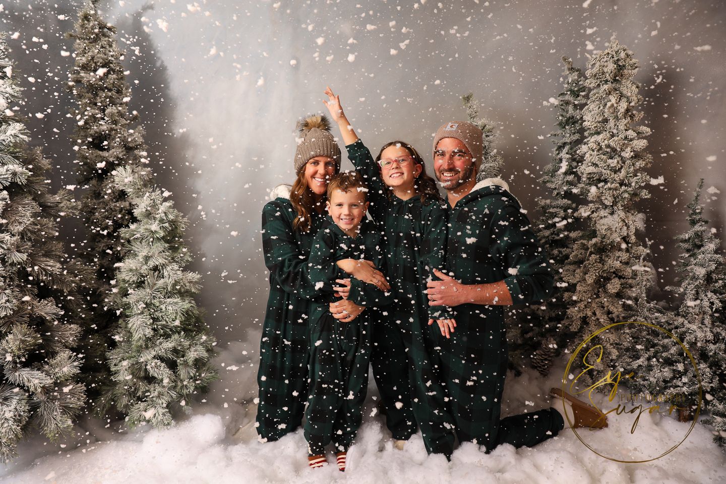 Christmas Portraits Studio Portsmouth New Hampshire
