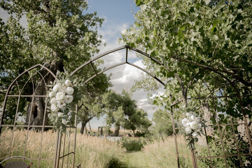 A rustic outdoor wedding arch made of metal and adorned with greenery stands in a natural garden setting.
