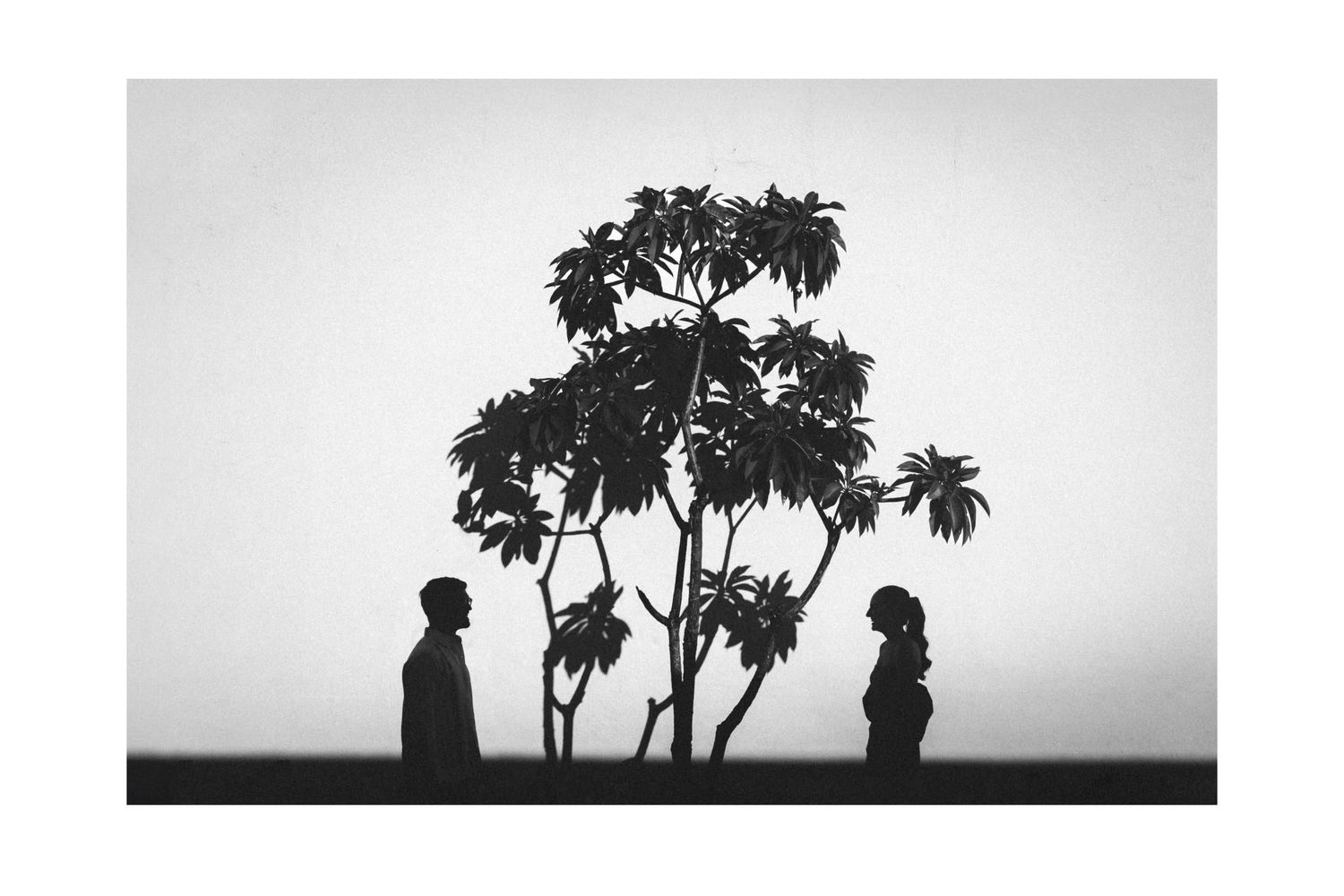 A series of minimalist black and white landscape silhouettes showing palm trees against the horizon at different times.