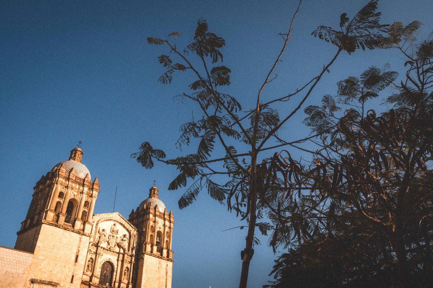 Historic Spanish colonial church towers silhouetted against a deep blue sky with tree branches in the foreground.