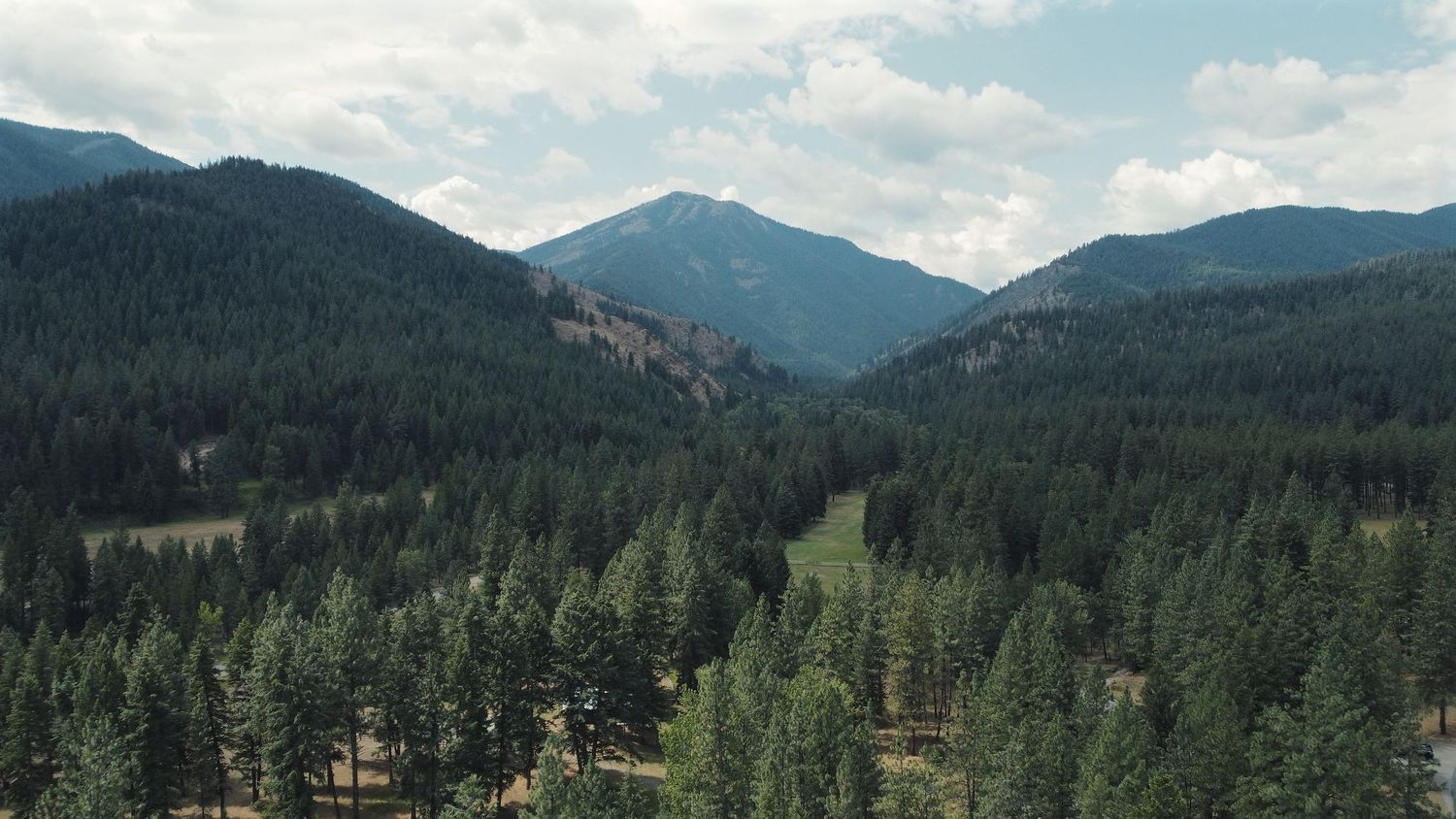 A panoramic mountain landscape with evergreen forests, distant peaks, and blue skies stretches across the horizon.