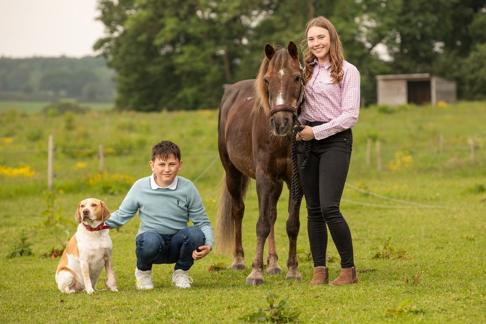 Three friends together outdoors including a beautiful brown horse and a white dog in a grassy field on a sunny day.