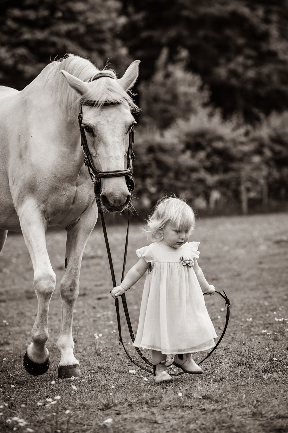 A small child in a white dress holds the reins of a majestic white horse in a gentle black and white outdoor scene.