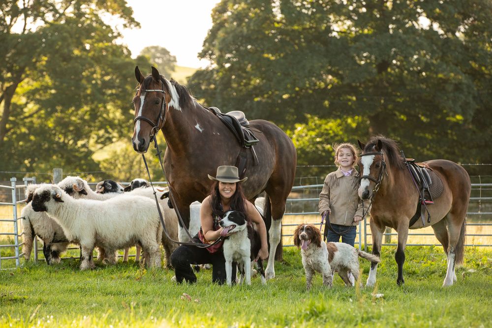 A group of dogs and horses gather together in a sunlit pastoral field during golden hour.
