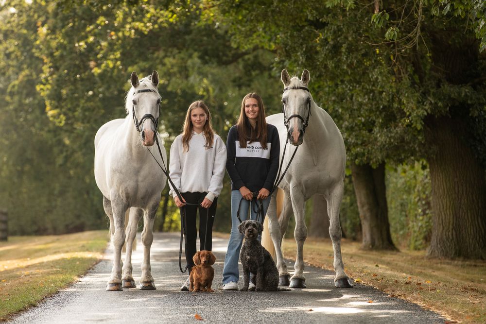 Two beautiful white horses stand on a path with two people and a small dog between them on a sunny autumn day.