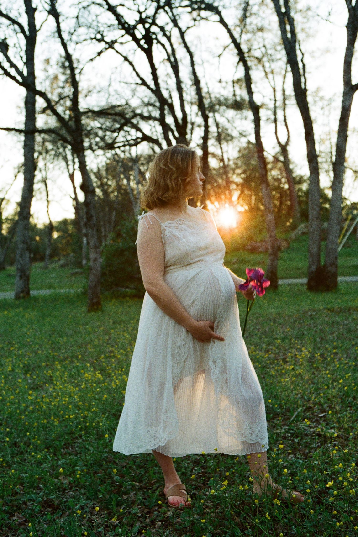 A maternity photo in a white lace dress holding flowers at sunset in a park setting.