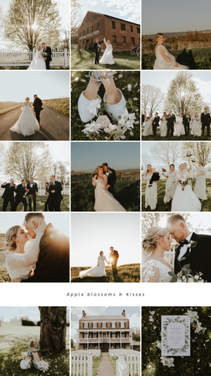 Spring wedding photo collection at historic venue with cherry blossoms and sunset ceremony moments.
