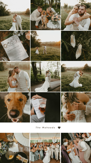 Collection of romantic outdoor wedding photos featuring candid moments, ring details, and a sweet dog in natural settings.