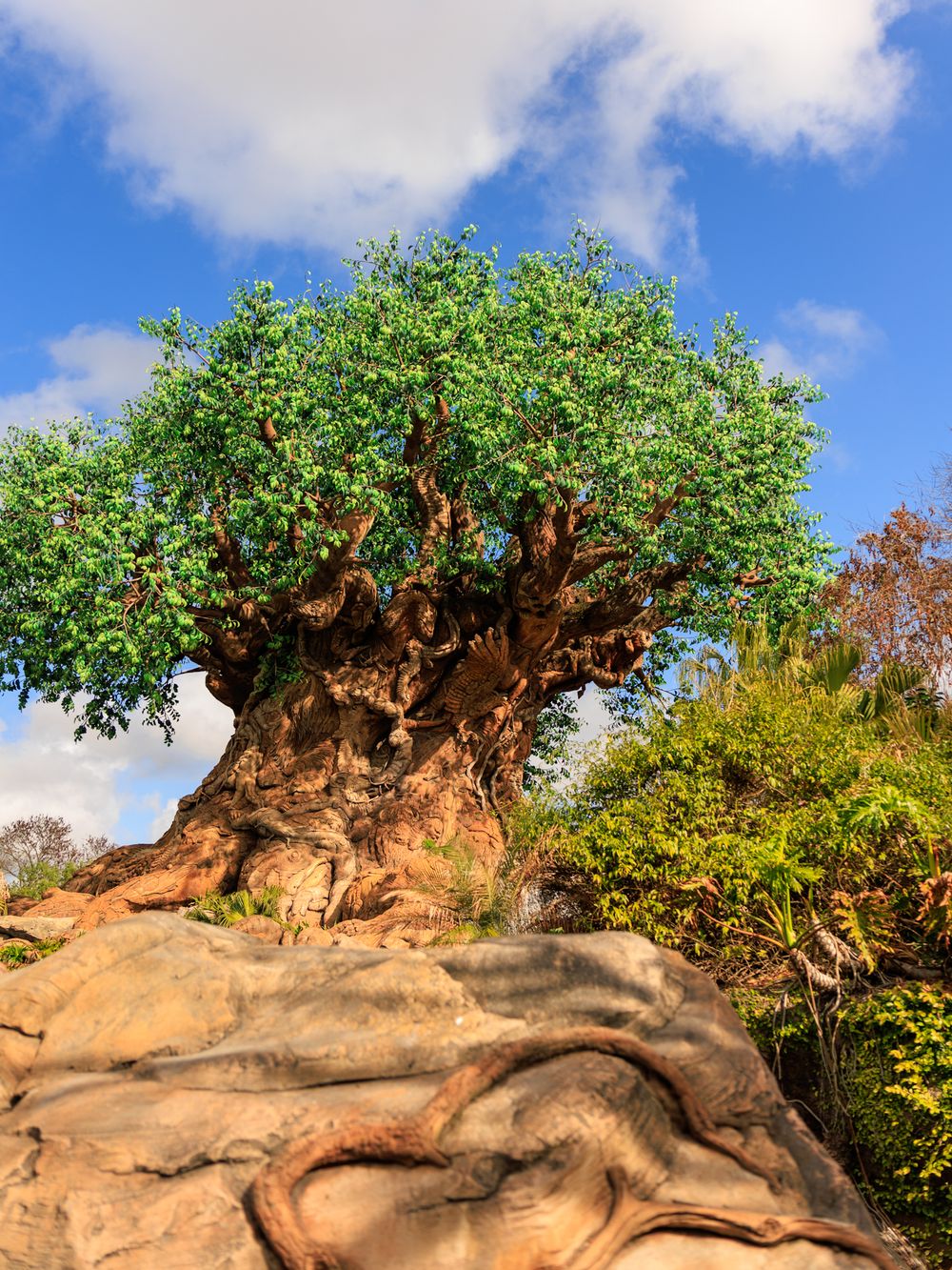 Majestic Tree of Life rises from rocky terrain against a blue sky at Disney's Animal Kingdom theme park.