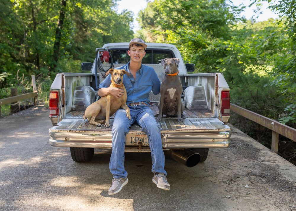 Man sitting on truck tailgate with three dogs surrounded by lush green trees on a gravel driveway.