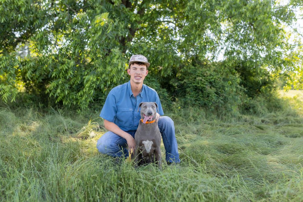 Man in blue shirt and cap kneeling with gray pit bull dog on green grass near trees outdoors.