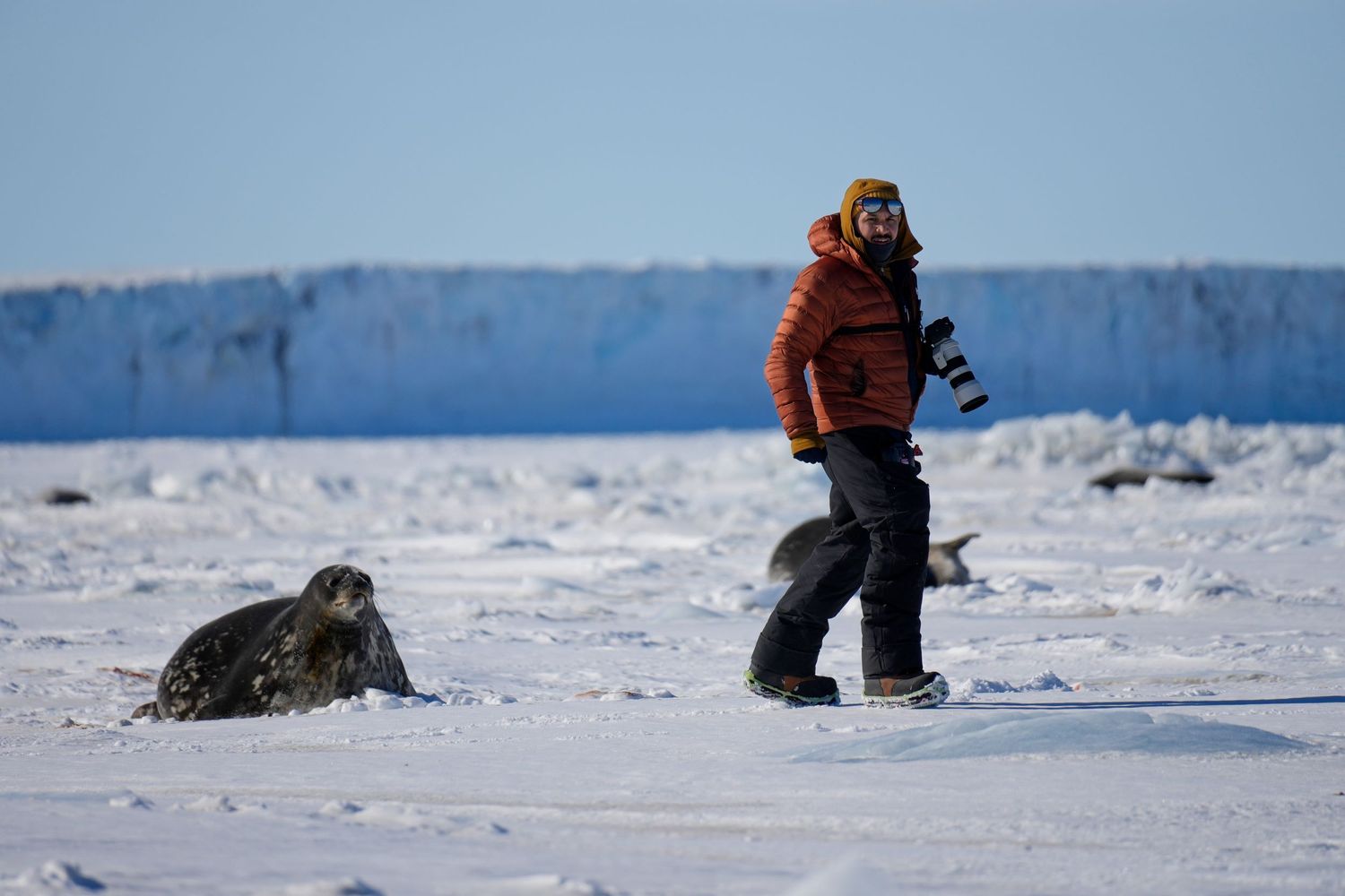 George Grauke photographing Weddell Seals at Terra Nova Bay, Antarctica