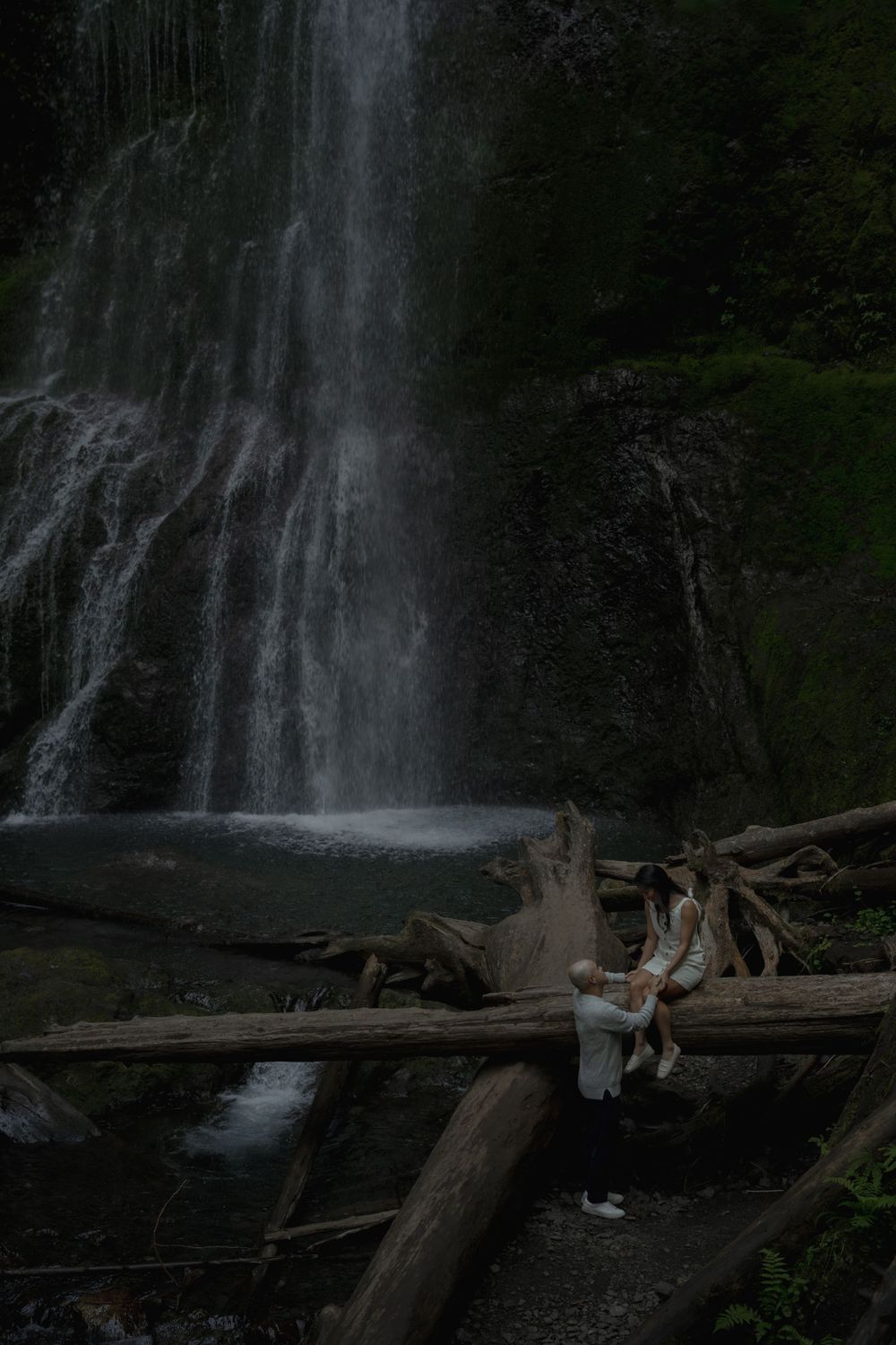 A scenic waterfall cascades behind a fallen log where people rest in nature Marymere falls in Olympic National Park.