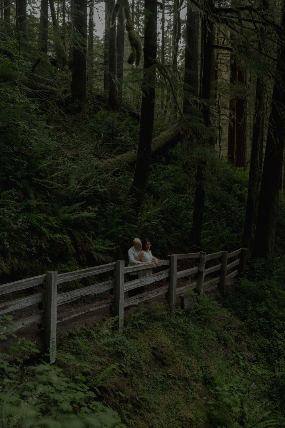 Two people lean against a wooden railing on a forest trail surrounded by tall evergreen trees at lake crescent in Olympic national park..