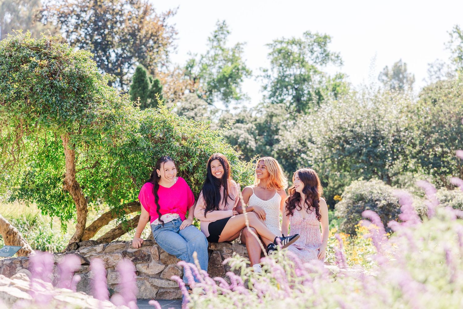 A group gathers under trees in an outdoor setting during a sunny day with filtered light coming through the branches.