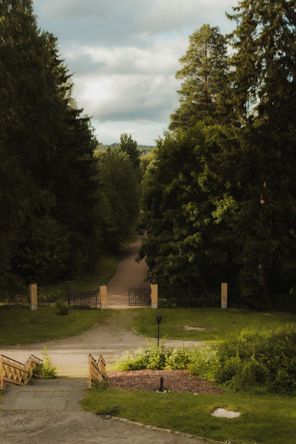 Scenic driveway through evergreen trees with overcast sky.