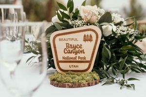 Wedding reception table decor with greenery, place cards and national park themed elements.