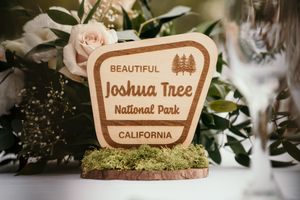 Wooden sign for Joshua Tree National Park in California displayed with delicate pink roses and greenery.